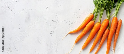 Orange carrots displayed on a white backdrop, showcasing vegetables of orange hue with available copy space image.