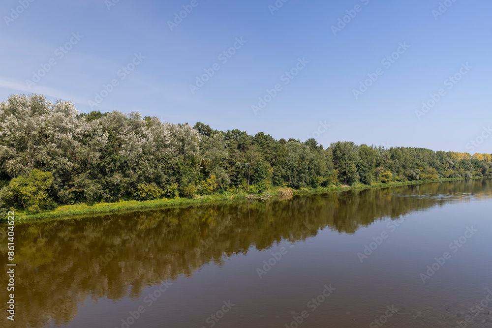 trees on the riverbank with a blue sky in summer trees on the riverbank with a blue sky in summer