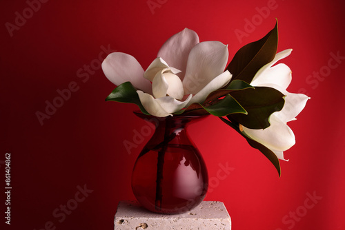 Fiori profumati di magnolia. Still life con fiori recisi in vaso rosso, su fondo rosso  photo