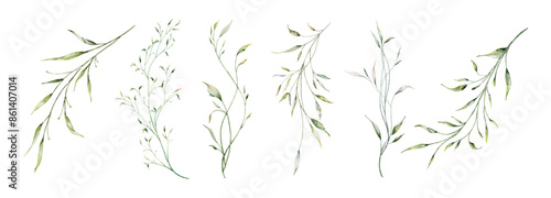 Set of watercolor green leaves elements