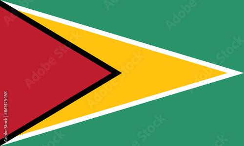 Guyana flag in official colors and proportion correctly vector