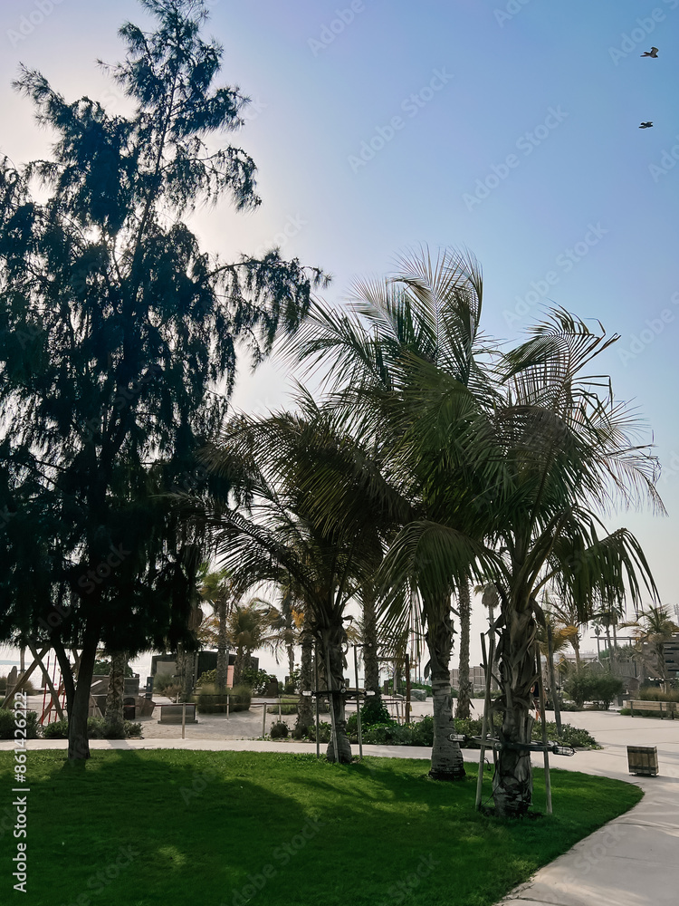 Beautiful atmospheric beach Beach with palm trees La Mer in Dubai, 2024