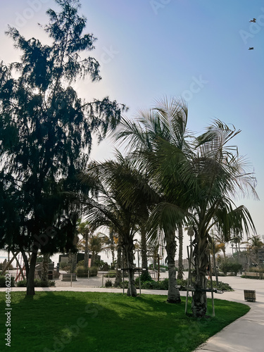 Obraz na płótnie Beautiful atmospheric beach Beach with palm trees La Mer in Dubai, 2024 w salonie