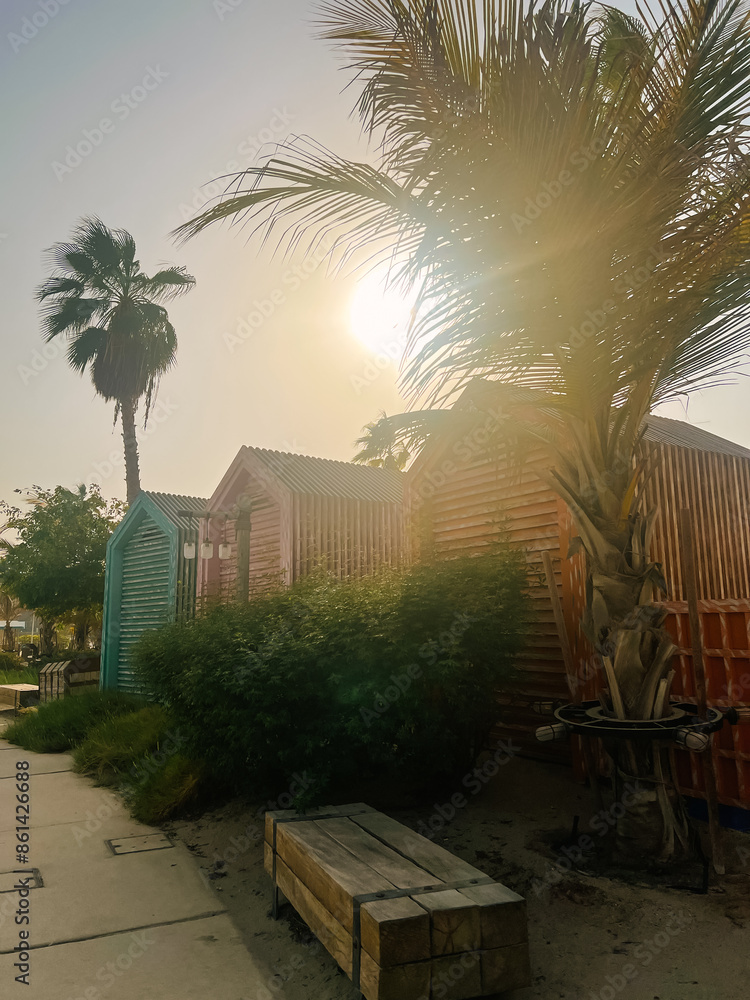 Beautiful atmospheric beach Beach with palm trees La Mer in Dubai, 2024