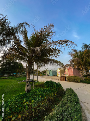 Beautiful atmospheric beach Beach with palm trees La Mer in Dubai, 2024