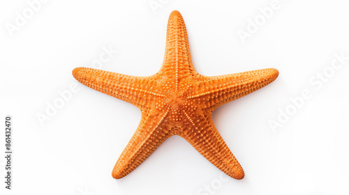 Photos of Starfish isolated on white background.
