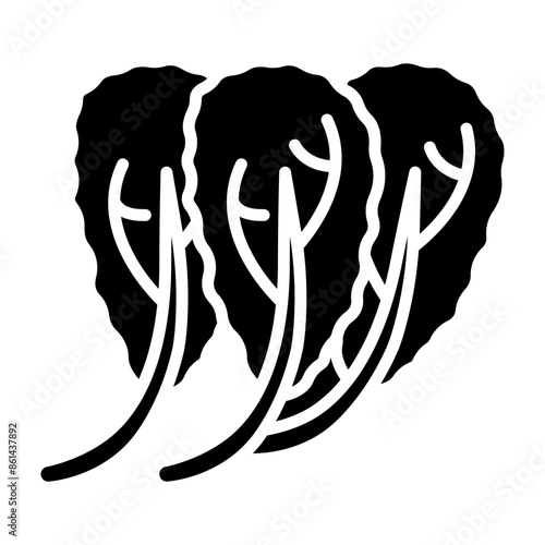 Chinese cabbage glyph icon