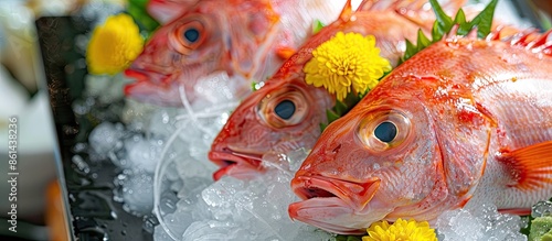 Among the favorite choices for sashimi, Kinmedai, also known as Golden Eye Snapper, is best served on ice. This Japanese delicacy features fresh raw fish thinly sliced with a visually pleasing copy photo