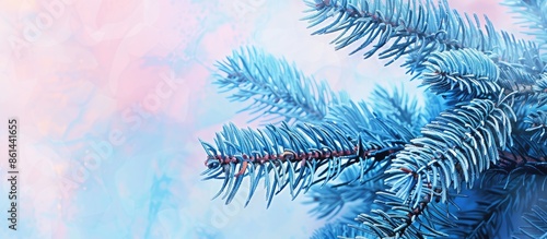 Christmas-themed banner featuring a blue spruce branch on an abstract backdrop with a copy space image for text, tonally adjusted in blue and pink hues. photo