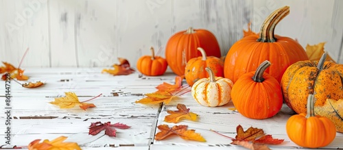 Autumn-themed decor with pumpkins on a rustic white table creating a cozy fall atmosphere, ideal for adding text in the copy space image. photo