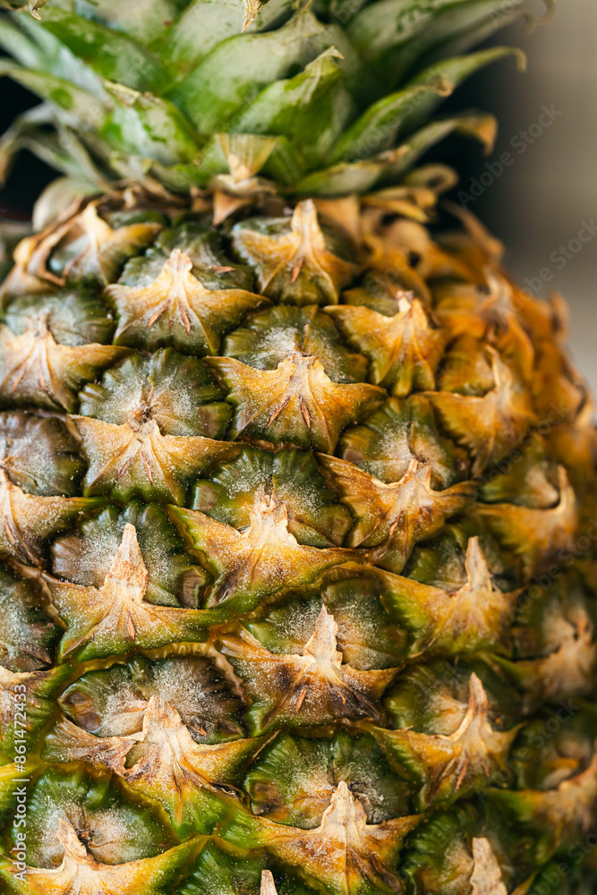 Close-up of pineapple peel background, macro shot. Close-up of pineapple peel background, macro shot.