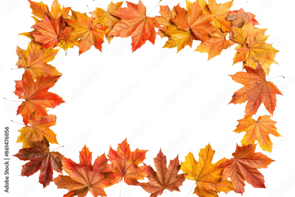 rectengular autumnal leaves frame isolated rectengular autumnal leaves frame isolated