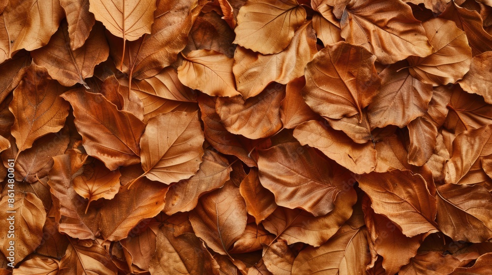 Background with autumn leaves texture. Background with autumn leaves texture.
