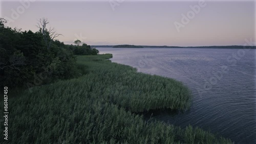 Forest coast at Dusk 