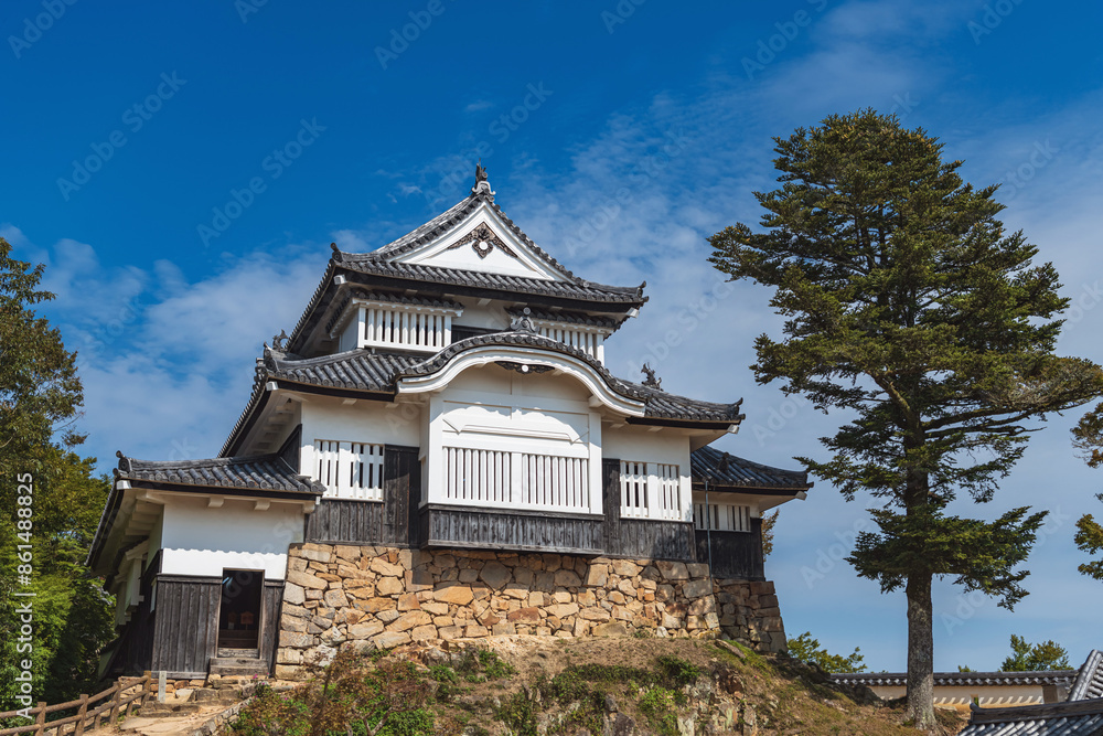 岡山 備中松山城 現存天守 岡山 備中松山城 現存天守