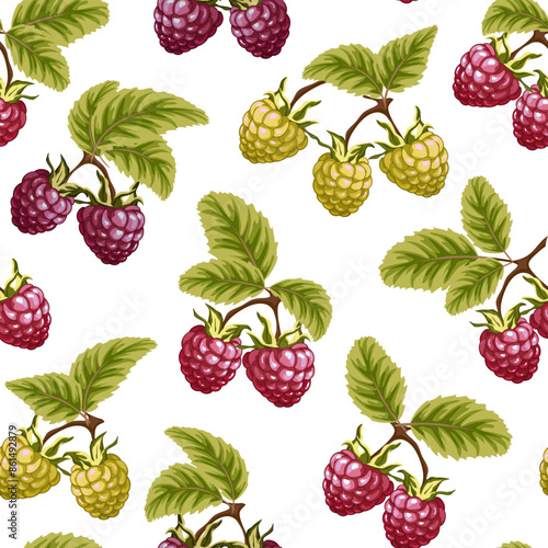 Vector pattern with multi-colored raspberries.Multicolored raspberries with leaves on a white background in a seamless pattern.