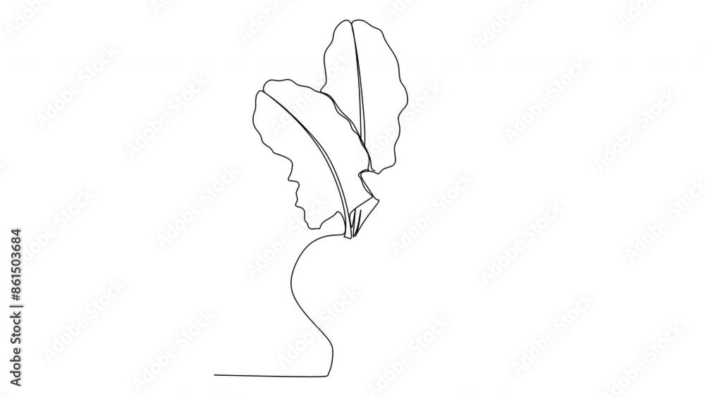 Linear drawing of beets. Vector illustration