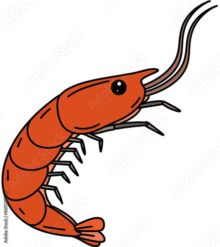 illustration of cartoon shrimp photo