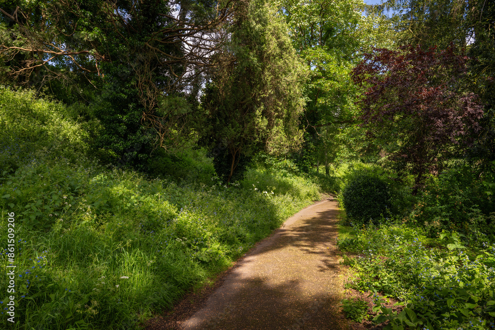 Obraz premium Castle Grounds, a public park in Reigate, Surrey, UK. While the castle no longer exists, the grounds are a pleasant place to walk in the centre of Reigate.