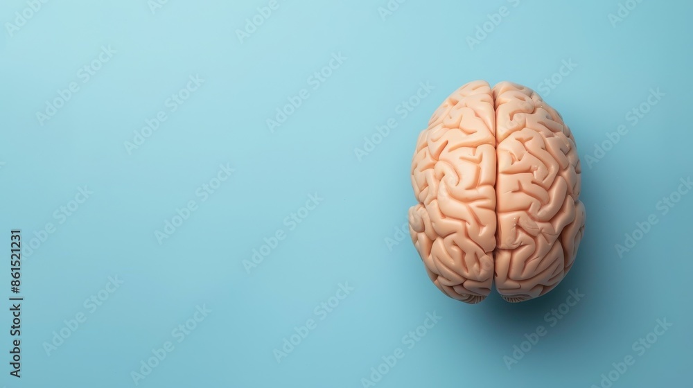 Mental health concept. human brain. Mental health concept. human brain.