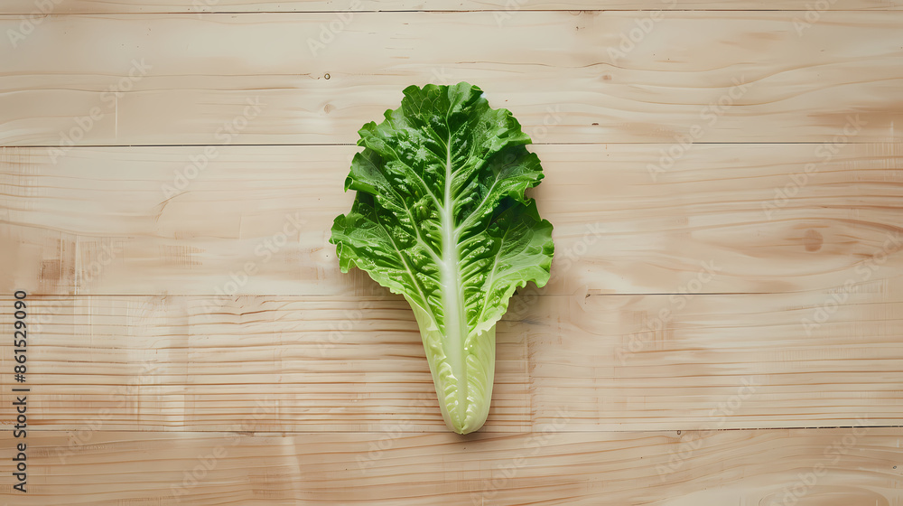 Lettuce leaves on the table