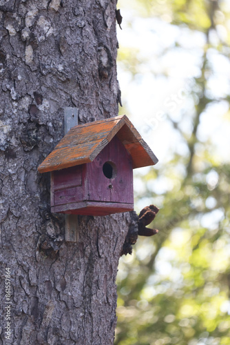 Colorful wooden birdhouses