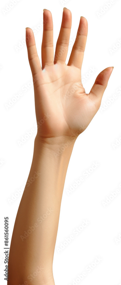 PNG Hand person finger human. PNG Hand person finger human.