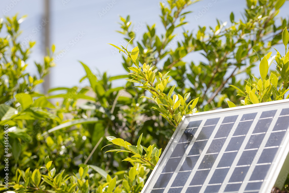 Fototapeta premium Close-up of a solar panel with green leaves and blue sky in the background, highlighting renewable energy in a natural setting..