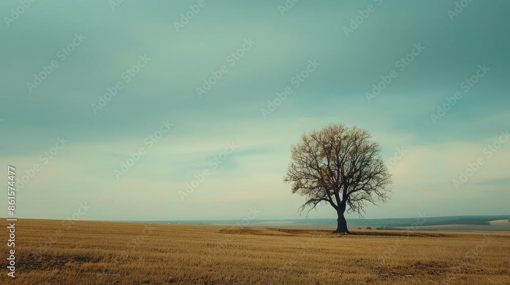 Lone tree standing against the horizon in an empty field, embodying resilience and steadfastness in the face of solitude. Lone tree standing against the horizon in an empty field, embodying resilience and steadfastness in the face of solitude.