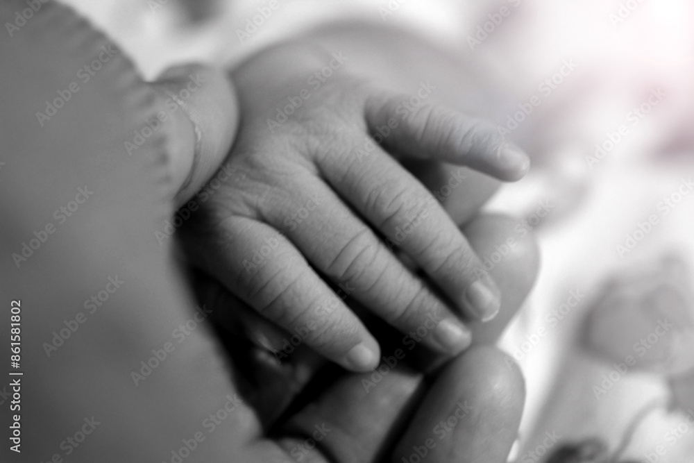 Hands of parent and new born baby. Mom and first baby girl's hands in black and white background. Hands of parent and new born baby. Mom and first baby girl's hands in black and white background.