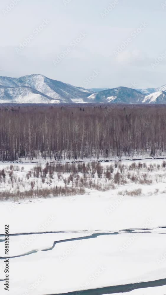 Aerial view of beautiful snow forrest during winter Aerial view of beautiful snow forrest during winter