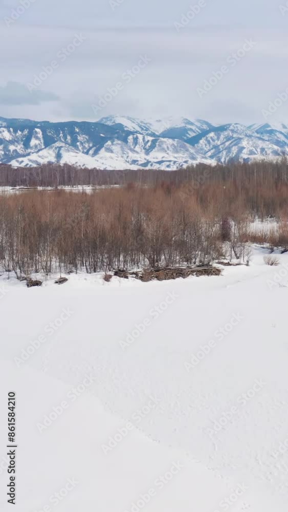 Aerial view of beautiful snow forrest during winter Aerial view of beautiful snow forrest during winter