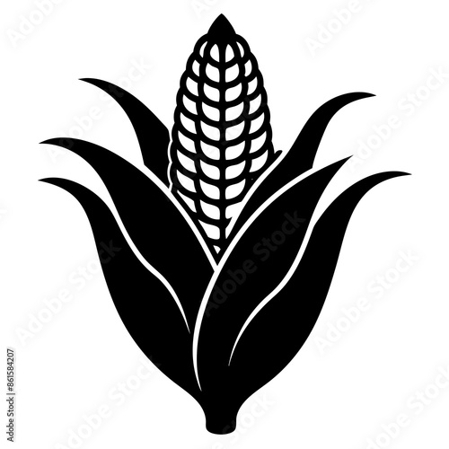 illustration of corn