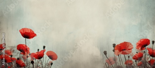Background with poppy flowe...