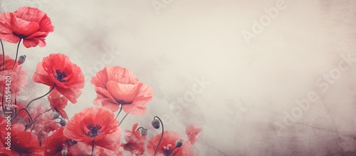 Background with poppy flowe...