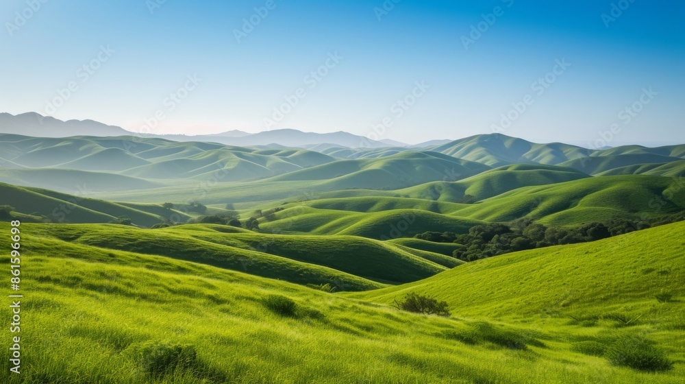 Naklejka premium Serene landscape featuring rolling green hills under a clear blue sky