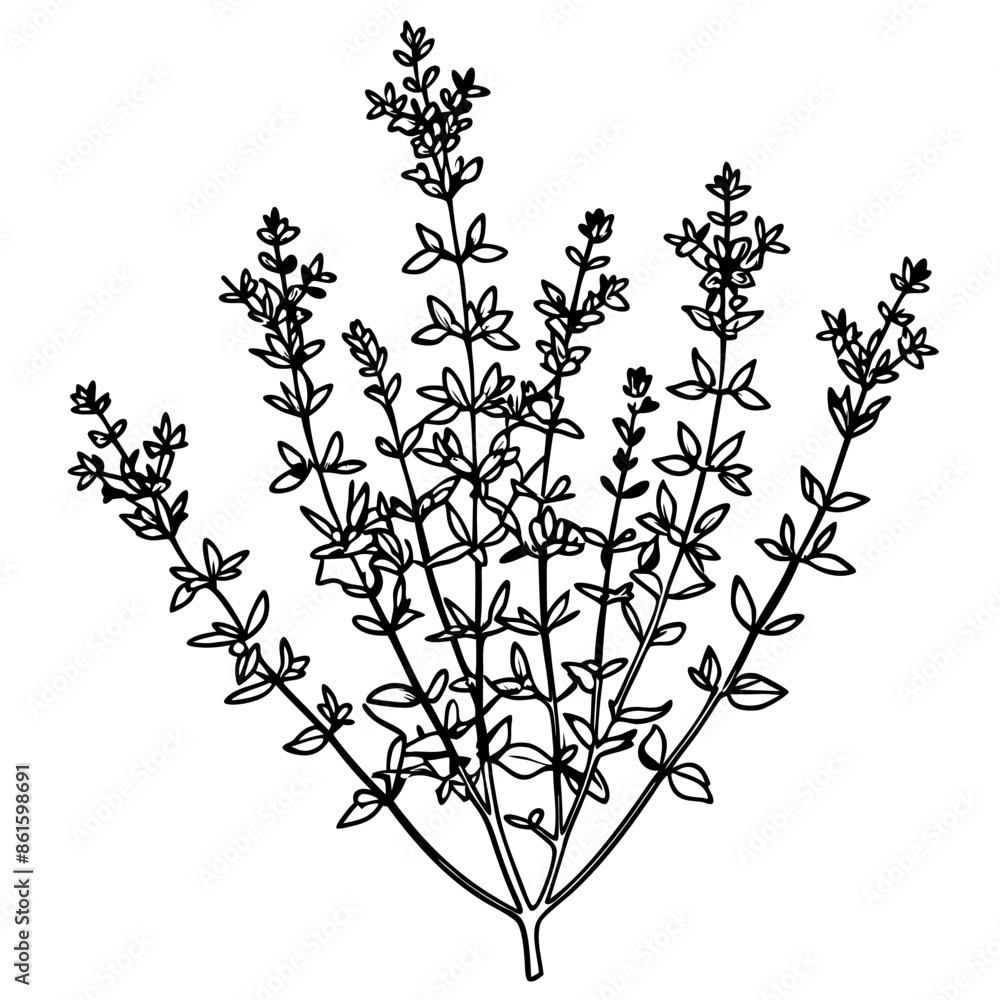 Fototapeta premium Plants with flower coloring pages. Flower outline