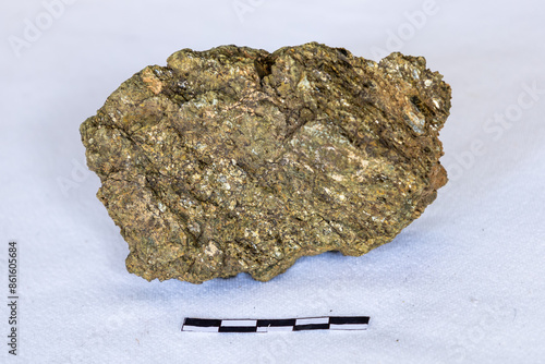 A sample of gold coloured Biotite Schist against a white background with a 5cm scale photo