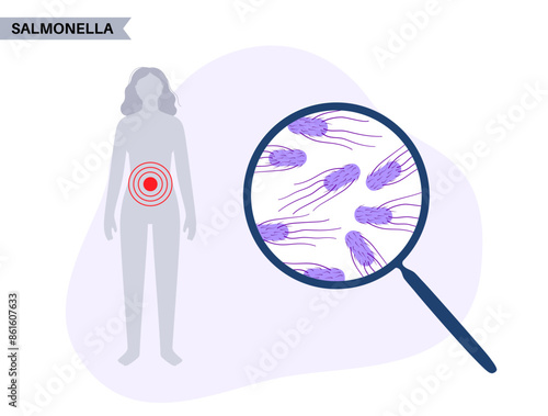 .Salmonella Typhimurium Cells