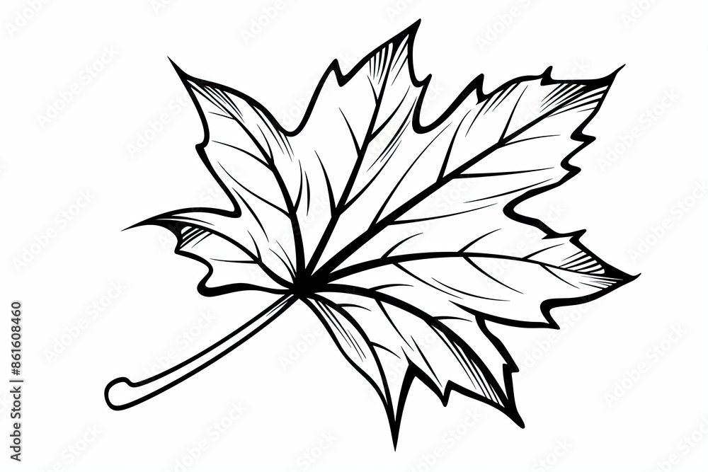 A leaf is drawn in black and white A leaf is drawn in black and white