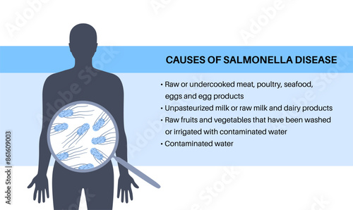 .Salmonella Typhimurium Cells