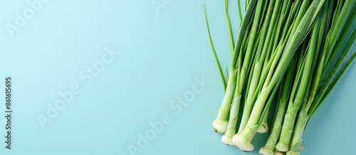 Fresh Lemongrass Isolated o...
