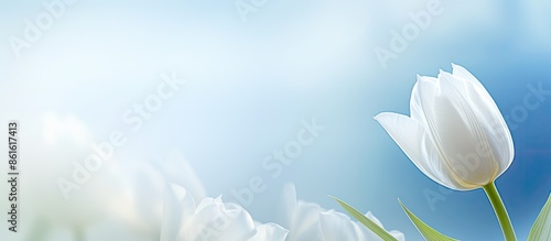 Spring background features ...