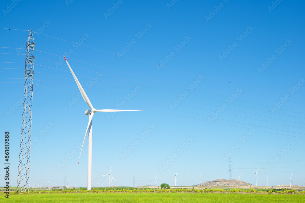Wind turbine generators for green electricity production Wind turbine generators for green electricity production