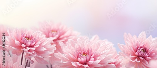 Close-up image of a pink ch...