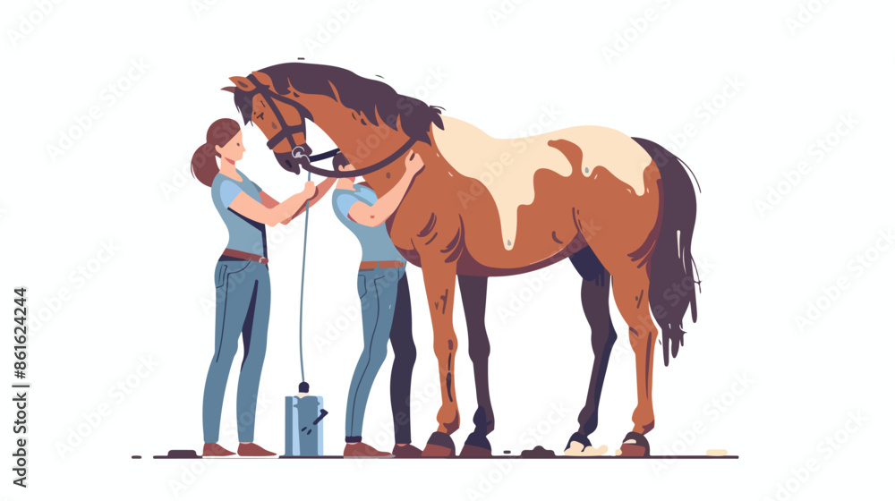 Obraz premium Stableman Woman Character Care of Purebred Horse 