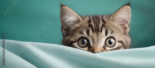 Copy space image of a cute ...