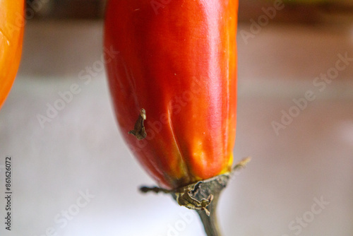 details of a vegetable known as jilo in Rio de Janeiro. photo