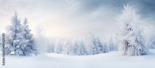 The landscape was transform...