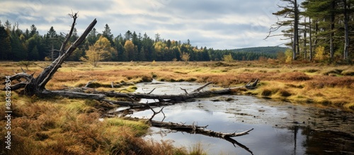 Autumn scenery showing a lo...